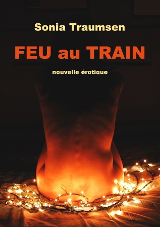 lecture Feu au train